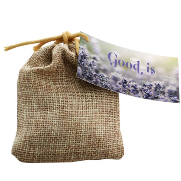 GRAINE DE LAVANDE SACHET